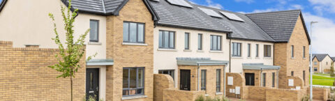 Professional Surveying Services